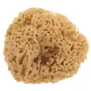 Bath Back Sponge Bathing Ball Back Scrubber Bathing Scrubber Body Cleaning