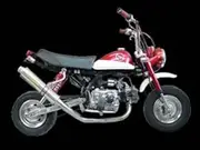 Double Ears MS Series CONCEPT3 0-40-MS1118 Oval Titanium Silencer