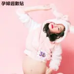 🧒旻歆媽媽👧 🈶現貨 媽媽款 孕婦肚皮紀錄貼 孕婦週數貼紙 寫真攝影道具肚皮貼S161