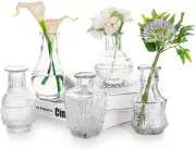 Vintage Clear Glass Bud Vase, Glasseam Set of 5 Crystal Small Mini Flower Decor