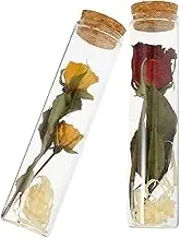 LIFKICH 2pcs Mini Glass Wish Bottles with Dried Flowers Red Rose Yellow Rose for Home Decor Crafting and Sending Messages of Blessings