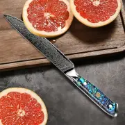 Japanese Petty Knife 6 Inch Damascus Chef Kitchen Tool Abalone Shell Handle