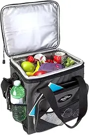 Koolatron 12V Electric Cool Bag,Thermoelectric Soft Cooler Bag,12 Volt DC Connection,Foldable Storage, Plug in Iceless Portable Picnic Bag, for Work Travel Vehicle Car, Truck, Gray/Black