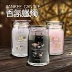 【綠洲香境】美國 洋基蠟燭YANKEE CANDLE 香氛蠟燭 雙芯蠟燭567G(大)玻璃瓶中燭 香氛蠟燭 洋基蠟燭