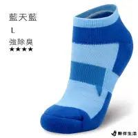 在飛比找momo購物網優惠-【夥伴生活】氣墊船型運動除臭襪－男襪－藍天藍(台灣製造 除臭