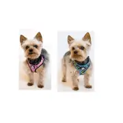 Designer Soft Harness for Dog 2 colors xxs to s breathable mesh