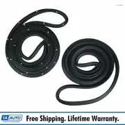 Weatherstrip 2 Door Post for 66 67 Tempest GS Chevelle GTO