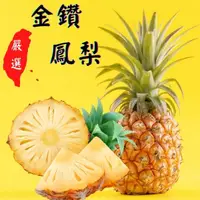 在飛比找樂天市場購物網優惠-【緁迪水果JDFruit】台灣小農-嚴選頂級金鑽鳳梨(7斤/