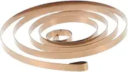 GARIOUANS Stainless Steel Wind Up Spring for Mechanisms Replacement for Clockwork Precision Engineered for Power Output for Mini Robots Mechanical Models