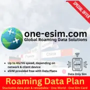P1 eSIM Global Travel Roaming Data Package for Mobile Devices