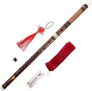 SECFOU 1 Set Portable Flute for Students D Tone Beginner Flute Instrument Design for Adults Durable and Easy to Play present for Music Enthusiasts