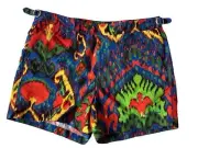 Ralph Lauren Purple Label Men's Multicolor Swim Shorts M Portugal NWT $395
