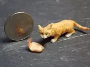 Dollhouse Miniature Pet Cat Animal FALCON 1:12 one inch scale C18 Dollys Gallery