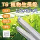 尚丞照明 植物燈 台灣現貨 植物催生 燈管 植栽 生長燈 LED T5 補光燈 全光譜 藍光 紅光 多肉 水族燈管