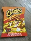 NEW Flamin' HOT Cheetos Eyeshadow Palette 12 Shade LIMITED EDITION