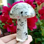 Tourmalated Quartz orgone resin mushroom natural Crystal Healing Larger Gemstone