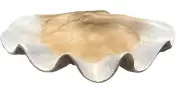 Uttermost Clam Coastal Polyresin Shell Bowl Antique White Brown Gray 16800 NEW