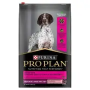 Pro Plan Sensitive Skin & Stomach Coat Medium Large Adult 12kg Dry Dog Salmon