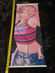 Chainsaw Man-Power -----Waifu Scroll Poster -30" x 10"
