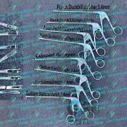 German Arthroscopy Punch Forceps Set of 8 Pieces Orthopedics Instruments Quality