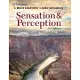 Sensation and Perception