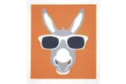 Retrokitchen 100% Compostable Sponge Cloth Donkey