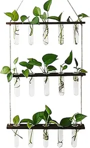 Hanging Glass Vase, Stylish Home Decoration, 19.69 13.98 1.77 Inches Decorative Flower Grower Pot for Container Gardening, Wall-Mounted Mirror Vase Rack, Indoor Glass Planter