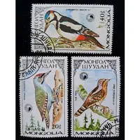 在飛比找蝦皮購物優惠-蒙古郵票啄木鳥Woodpecker 綠啄木鳥picus ca