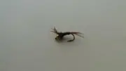 1 DOZ DF-5 BEAD HEAD FLASHBACK PHEASANT TAIL (COLORS & SIZES) NYMPH