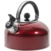Chirping Kettle Induction Kettles for Boiling Water Sounding Travel