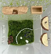6Pcs Jumping Spider Accessories Set,Tree Jumping Spider Climbing Toy with Cave, Jumping Spider Feeder,2 Wooden Platforms and 2 Green Moss Ribbons,Small Reptile Enclosure Decoration Accessories