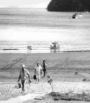 Anglers Coming In From A Day Of Fishing At Club De Pesca 1960 Old Fishing Photo