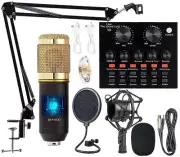 DORADA Kit De Grabacion De Estudio Microfono PROFESIONAL Musica Youtube Vlogging