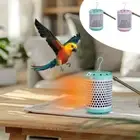 Ceramic Heating Parrot Heat Lamp Anti-scalding Reptile Warm Lights