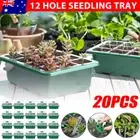 20X Plant Grow Box Seeds Seedling Tray Moisturizing Seed Propagation Nursery Pot