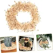CAXUSD Gravel Pebbles for Indoor Plants Small Stones for Mini Plants Succulents Decorative Rocks for Planters
