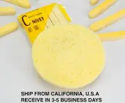 COMPRESSED SPONGE WASH FLUTTER