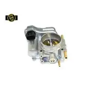 RAE Throttle Body - TB210N