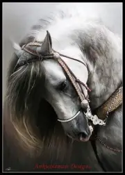 Andalusian Horse S - DIY Chart Counted Cross Stitch Patterns Needlework DMC