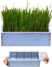 Wooden Cat Grass Planter with Removable Plastic Liner, Wheat Grass Growing Pot