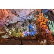 Save 25.01%! The most Luxury Day Cruise with transfer from Ha Noi & Drink