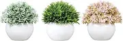 Artificial Plants in Pots, 3 Pack Small Decorative Fake Flower and Grass with White Pot, Faux Plastic Greenery for Indoor & Outdoor Home Decor, Office & Bedroom Artificial Fake Plants