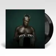 Heavy Is The Head (Vinyl)