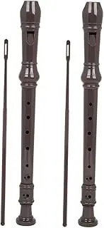 HANABASS 2 Sets Tone Student Flute for Portable Wind Instrument for Beginners Multi Design for Flexible Playing Includes Cleaning Rod Durable and Reliable Instrument for School Bands