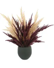 Creative Displays Assorted Pampas Floral Arrangement