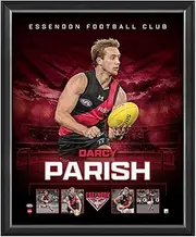 Darcy Parish Essendon F.C. Official Licensed AFL Print Framed
