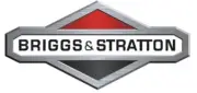 Washer Tank Original Engine Lawn Mower Briggs & Stratton 793485