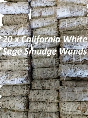 White Sage Smudge Sticks 20 x 4" Wands - NewThick 1.5" Inch Sticks