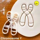 Chromosome Y cookie cutter microbiology genetic molecule medical science DNA