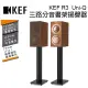 英國 KEF R3 Walnut 三路分音書架揚聲器 Uni-Q 同軸共點單元 胡桃木 台灣公司貨